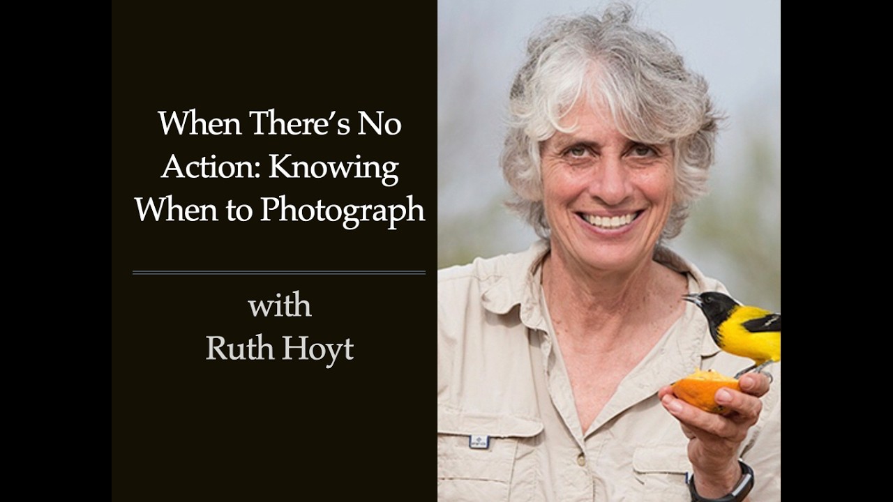 Сессия 278: Когда ничего не происходит: как знать, когда фотографировать (с Рут Хойт)