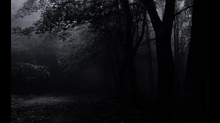 Fiona Apple Pure Imagination - DAYCORE