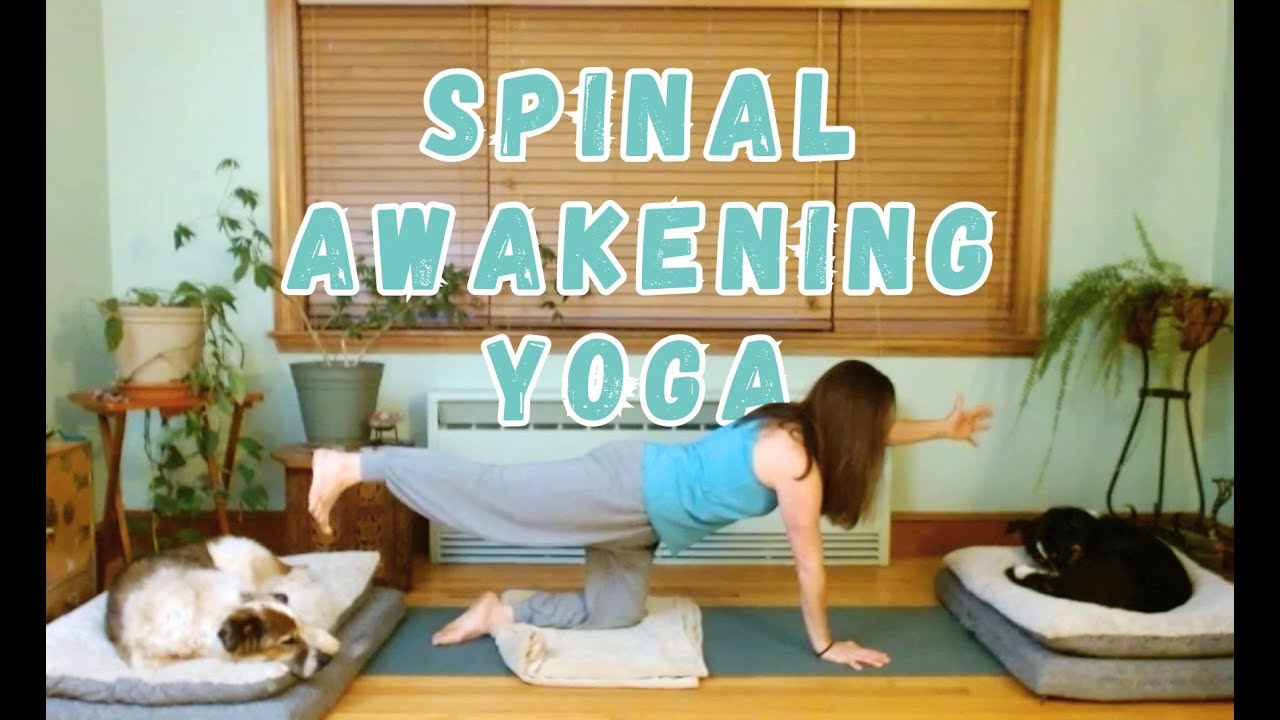 Spinal Awakening Gentle Flow (15 minutes)