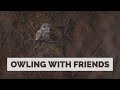 Photographing an Owl With Mark Smith and Isaac Spotts - Bird Photography in The Tetons