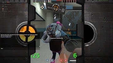 POV:  You Joined a Casual Game of TF2 During the Bot Crisis