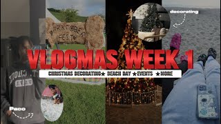 VLOGMAS WEEK 1: decorating for christmas, tree lighting, barktober, events, +more!