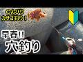 【穴釣り】早春高活性！のんびり穴釣り