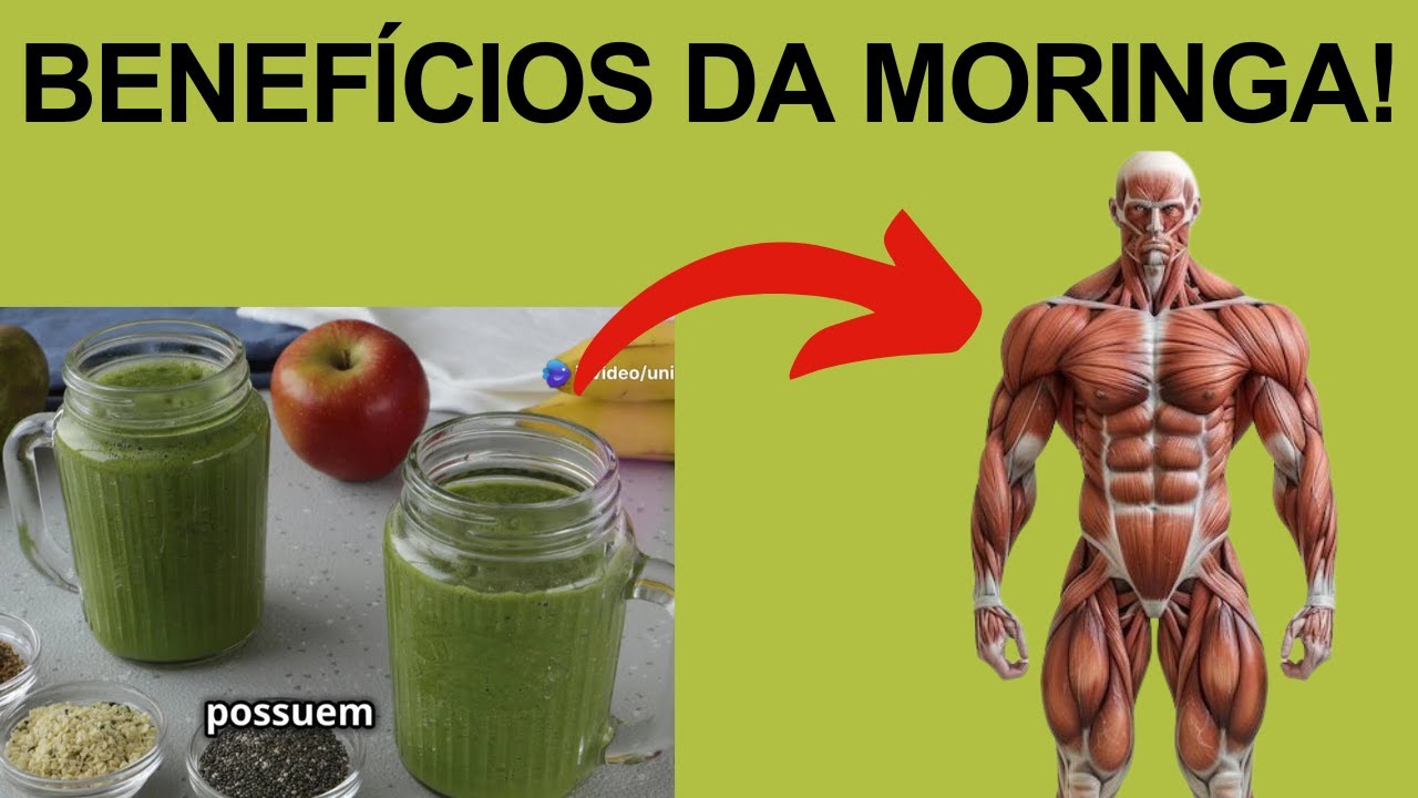 Como Tomar Moringa em Pó: Benefícios e Dicas Práticas para Melhorar Sua ...