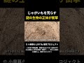 じゃがいもを荒らす 謎の生物の正体が衝撃 1