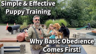 Simple & Effective Puppy Training | Why We Focus On Basic Obedience First!