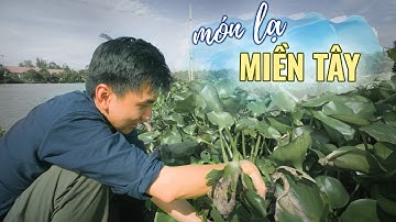 Món ngon sông nước ít người biết |Du lịch Hậu Giang Miền Tây Việt Nam