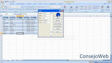 Excel 2007 2010 Funcion Formulario en excel ingresar introducir datos en excel