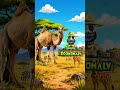 👀 These Animals Were Never Meant to Transform… | Zoonomaly