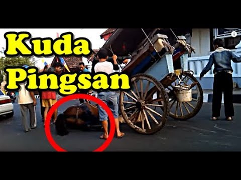 Sapi karnaval, Apel Kref, Desa Pelem Blora  Doovi