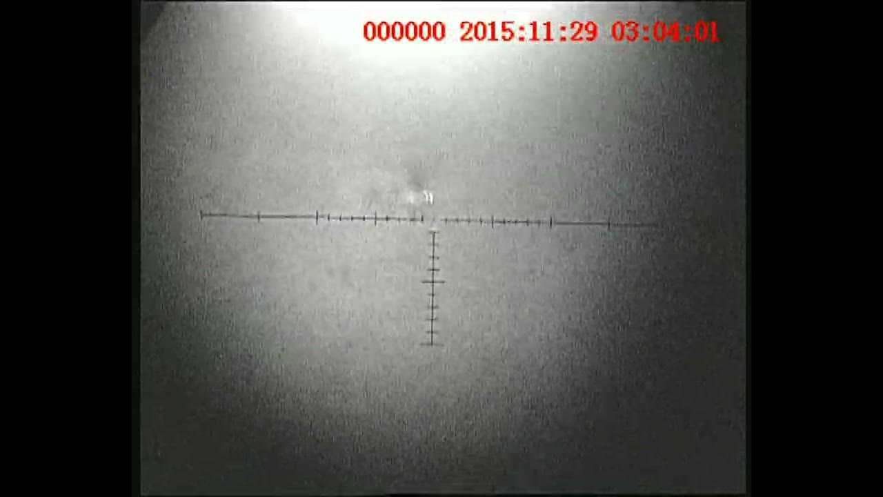 night vision fox hunting yew tree bullets YouTube