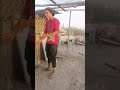 لا تنسو لا شتراك بلقنات ليوصلك كل شي جديد صيد الحيوانات البريه
