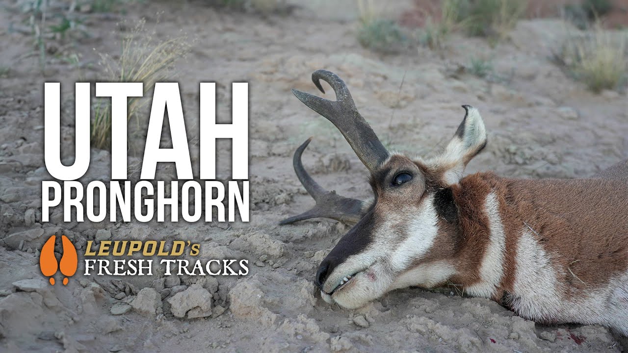 Utah Tag A Lifetime in the Making | Hunting a COVETED Pronghorn Tag in UTAH # ...
