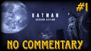 Batman: Arkham Asylum #1 (NO COMMENTARY)