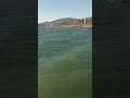 Сочи. Адлер. Черное море. Пляж. Отдых. 31 декабря 2025 г.