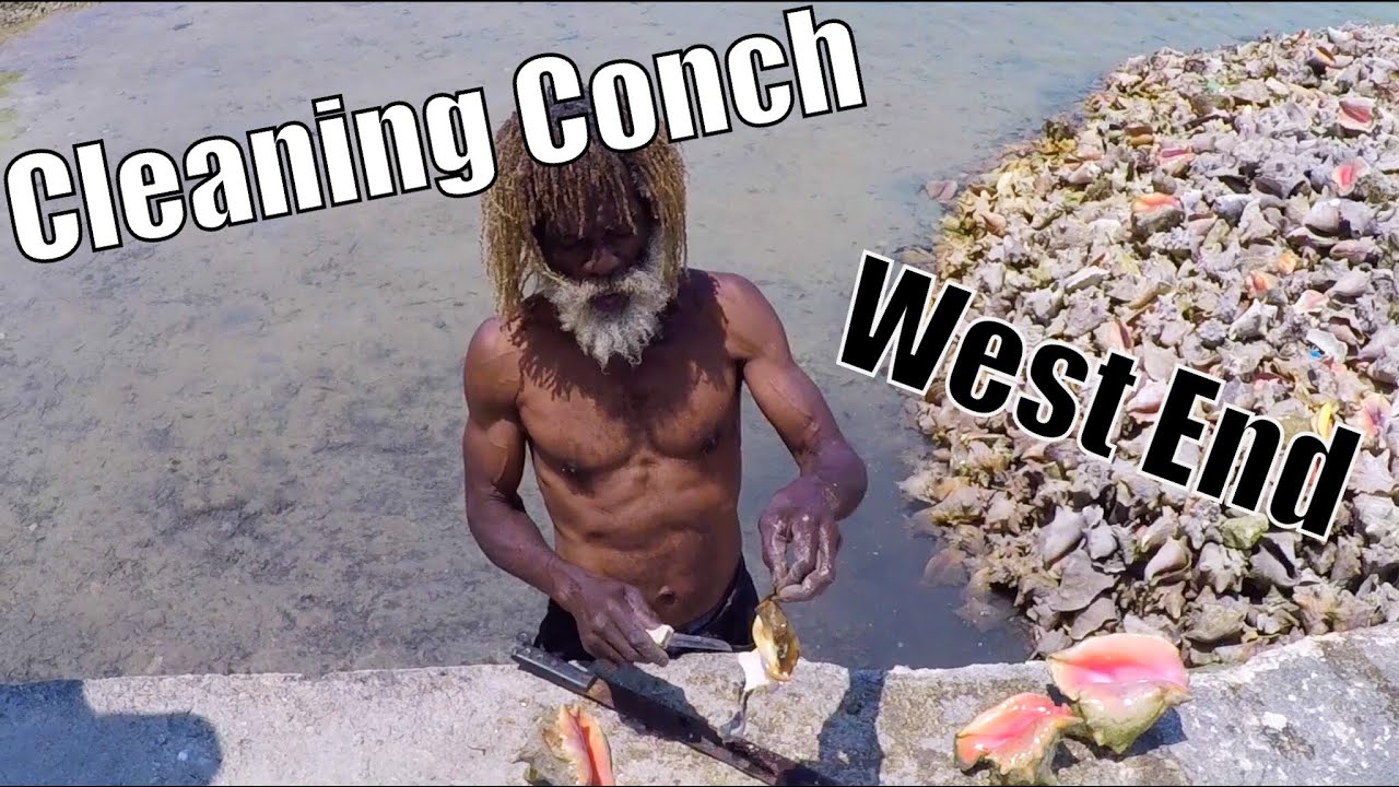 How to Clean a Conch: West End, Bahamas | Sailing Wisdom Ep 117