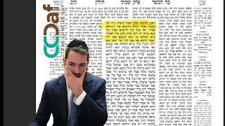 Chullin 112 [8.20] Clear & Concise Daf דף יומי מס׳ חולין דף קי״ב - Elul: לע״נ אסתר רייזל בת מאיר ע״ש