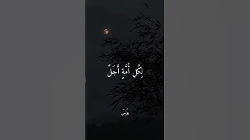 قُلْ لا أَمْلِكُ لِنَفْسِي نَفْعًا وَلا ضَرًّا🍃سورة يونس🍃تلاوةخاشعة🍃 عبدالرحمن مسعد