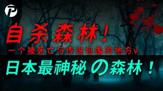青木原樹海：日本自殺森林的真相與背後故事｜深度紀實＋心理學解析