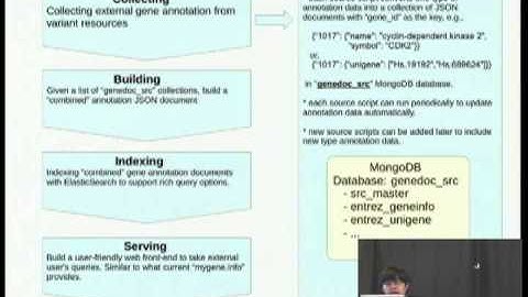 MongoDB and Gene databases