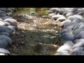 Denver Homes For Sale - Denver Homes For Sale -