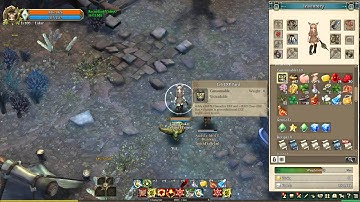 Tree Of Savior - Using 100 Exp Cards