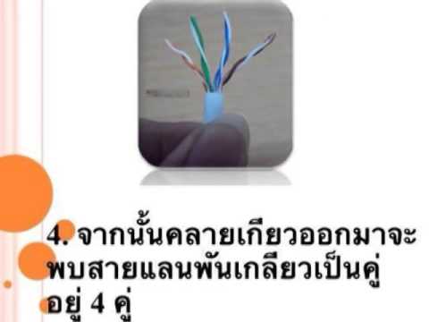 หัว rj 45  New Update  การเข้าหัว RJ 45