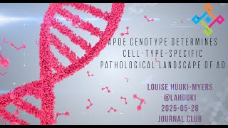 [2025-05-28] Journal club on "APOE genotype determines cell-type-specific pathological landscape"