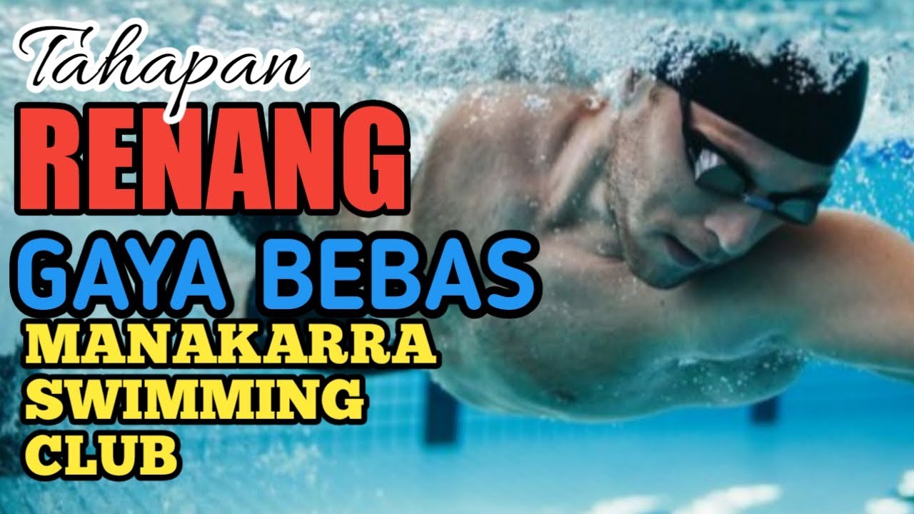 Panduan Berlatih Gaya Bebas Tanpa Henti