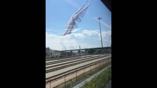 Bird Watcher Sounds Effect