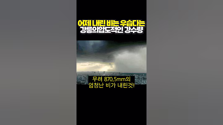 어제 내린 비는 우습다는 강릉의 압도적인 강수량 #썰 #유머 #사회이슈