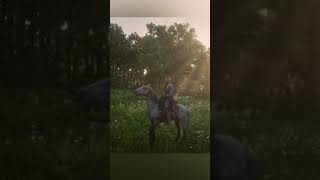 Beautiful horse / Mustang / Red dead redemption 2