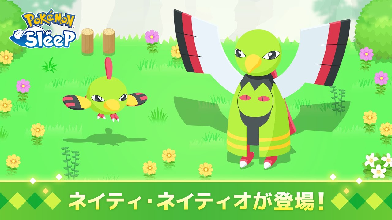 公式】『Pokémon Sleep』にネイティ・ネイティオが登場！ - YouTube