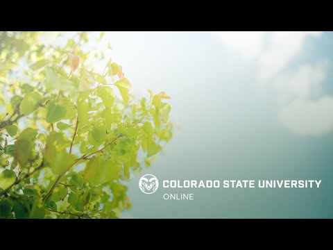 Colorado State University Online