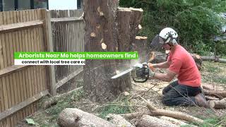 Columbia SC tree service and Arborists