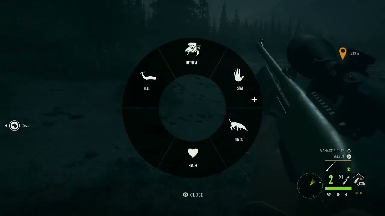 Cute little big fluffy puppy 