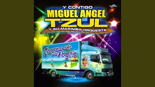 Video thumbnail of "Miguel Angel Tzul y su Marimba Orquesta - Lo Intentamos (Merengue Version)"