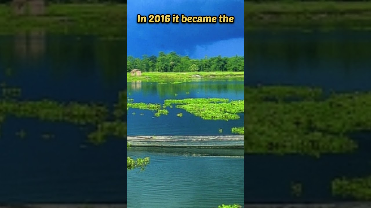 MAJULI, WORLD'S LARGEST RIVER ISLAND| BRAHMAPUTRA RIVER, ASSAM