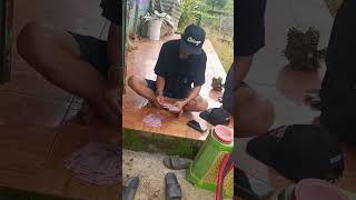 xuống cọc cho bà con yên tâm #sầuriêng #saurieng #làmvườn #shortvideo