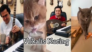Viral Vokalis Kucing || Kucing Nyanyi
