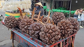 The Most Unique Fruit in the World - Nipa Palm Fruit Cutting Skills