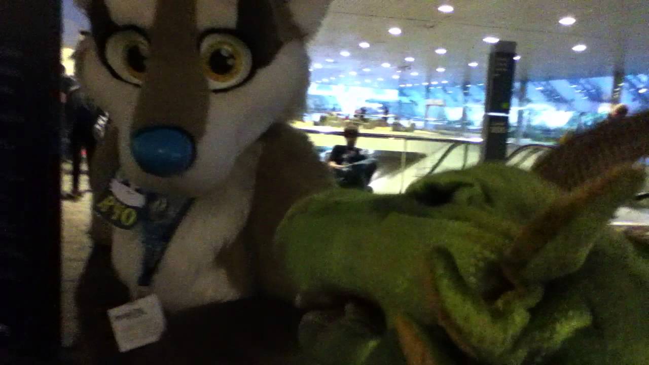 Puff meets a cute fursuiter (Ryo) [Bronycon 2014]