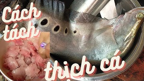 cách tách thịt cá thác lác cườm siêu to 🤣🤣🤣🤣🤣🤣🤣🤣🤣