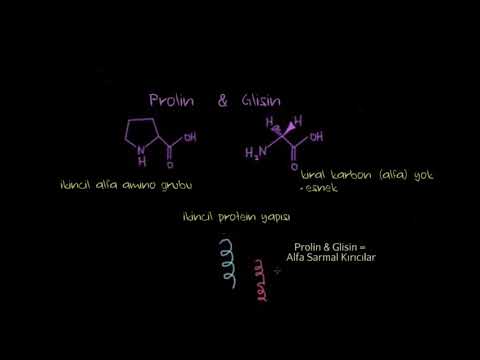 Özel Durumlar: Histidin, Prolin, Glisin, Sistein (Kimya) (Biyloji)