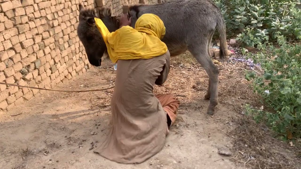 A Peaceful Day in the Village | Playing With a Cute Donkey 🫏❤️ | Simple Life Vlog