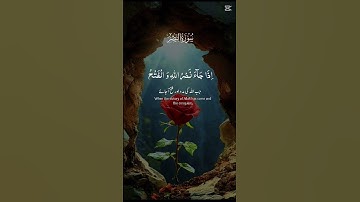 سورة النصر #اكسبلور #lifeisbutadream #duet #whowillbemylifepartnerta #تيك_توك #راحة_نفسية #لايك