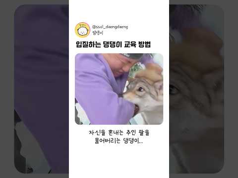 입질하는 댕댕이 교육 방법