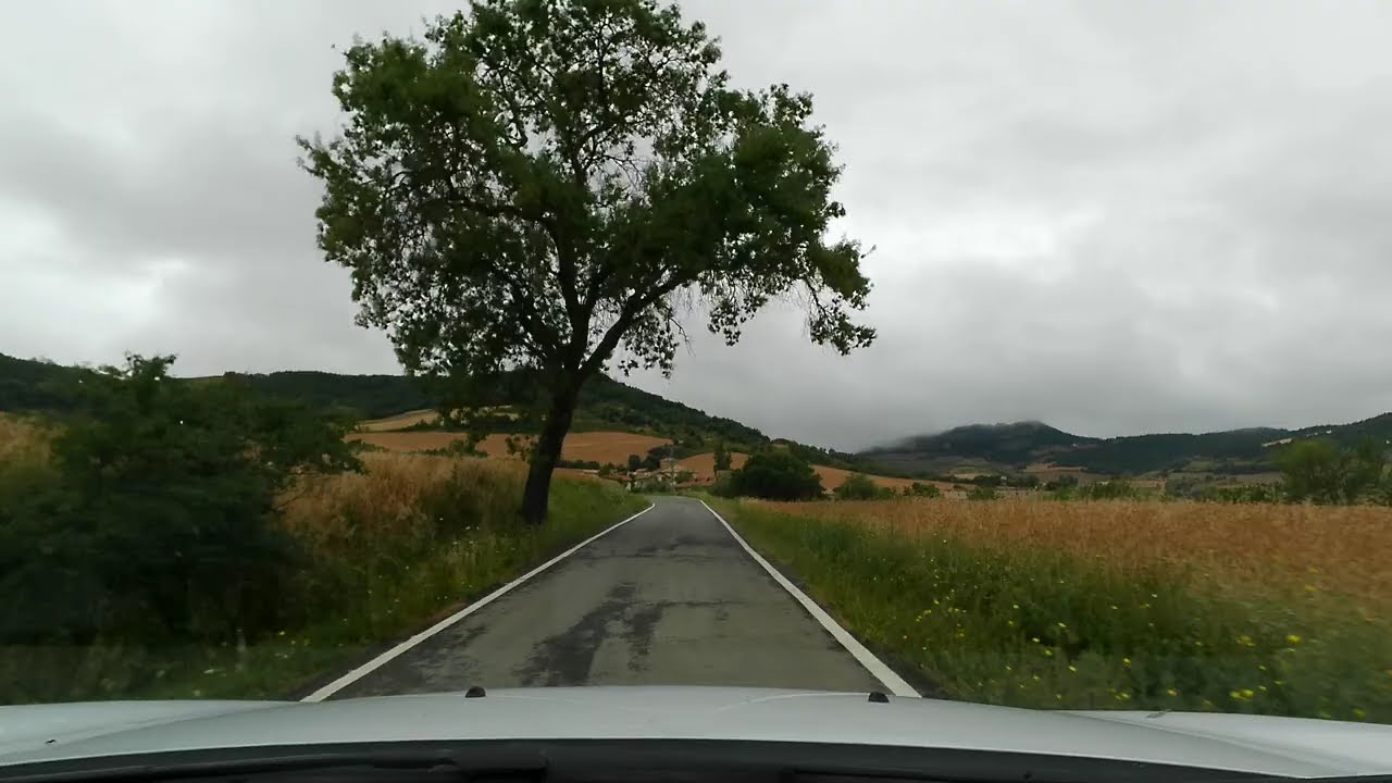 Llegada a Lizarraga de Izagaondoa o Lizarraga Itzagaondoa