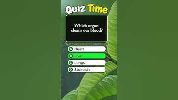 Which organ cleans our blood? #quiz #fun #brainteasers #puzzle #reels #shorts