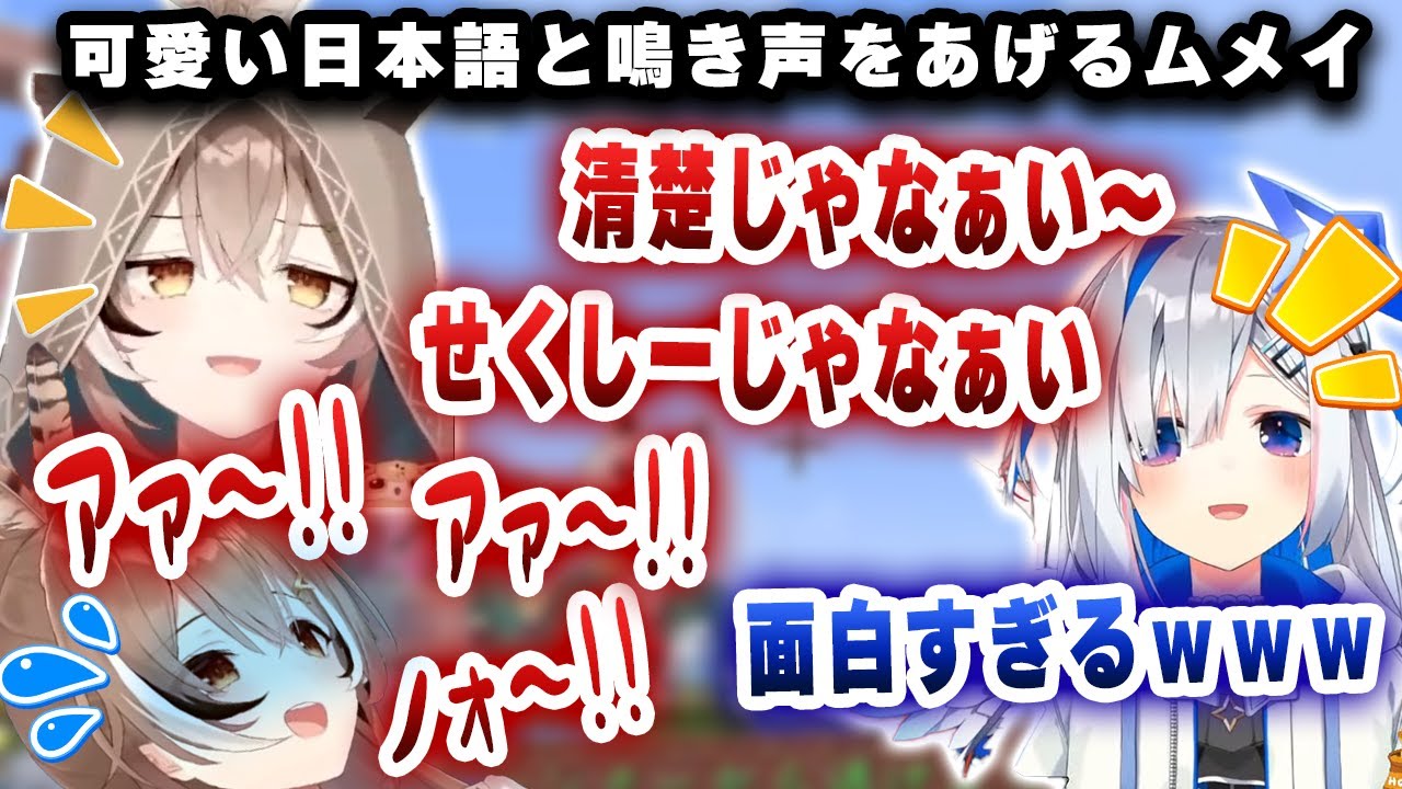 運動会で一生懸命頑張るムメイの日本語と悲鳴が面白すぎるｗｗｗ【ホロライブ/ハコ太郎/七詩ムメイ】